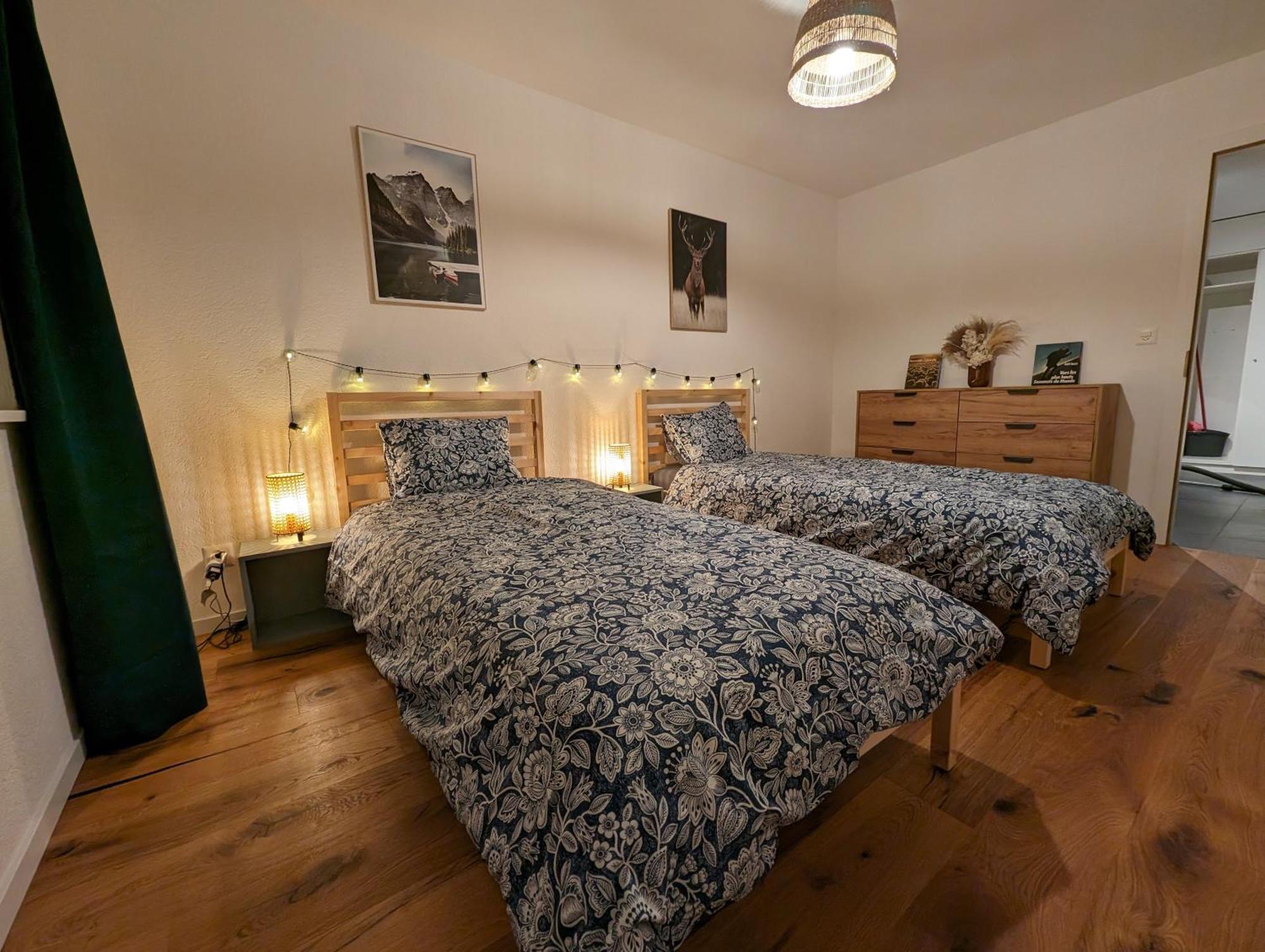 Appartement Spacieux Au Centre De La Gruyere Broc Luaran gambar